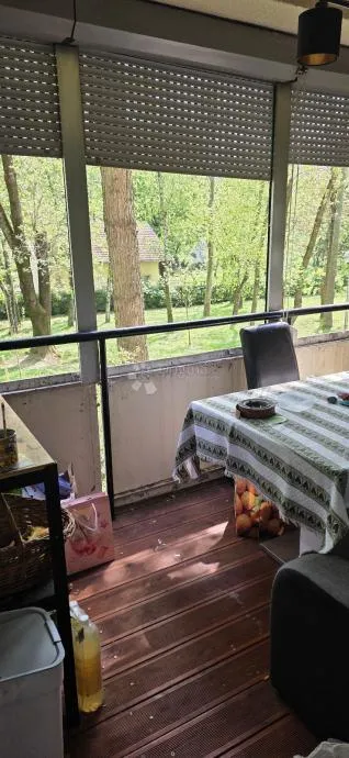 prostran 5-sobni stan s balkonom i loggiom – mirna lokacija, studentski grad - slika 15
