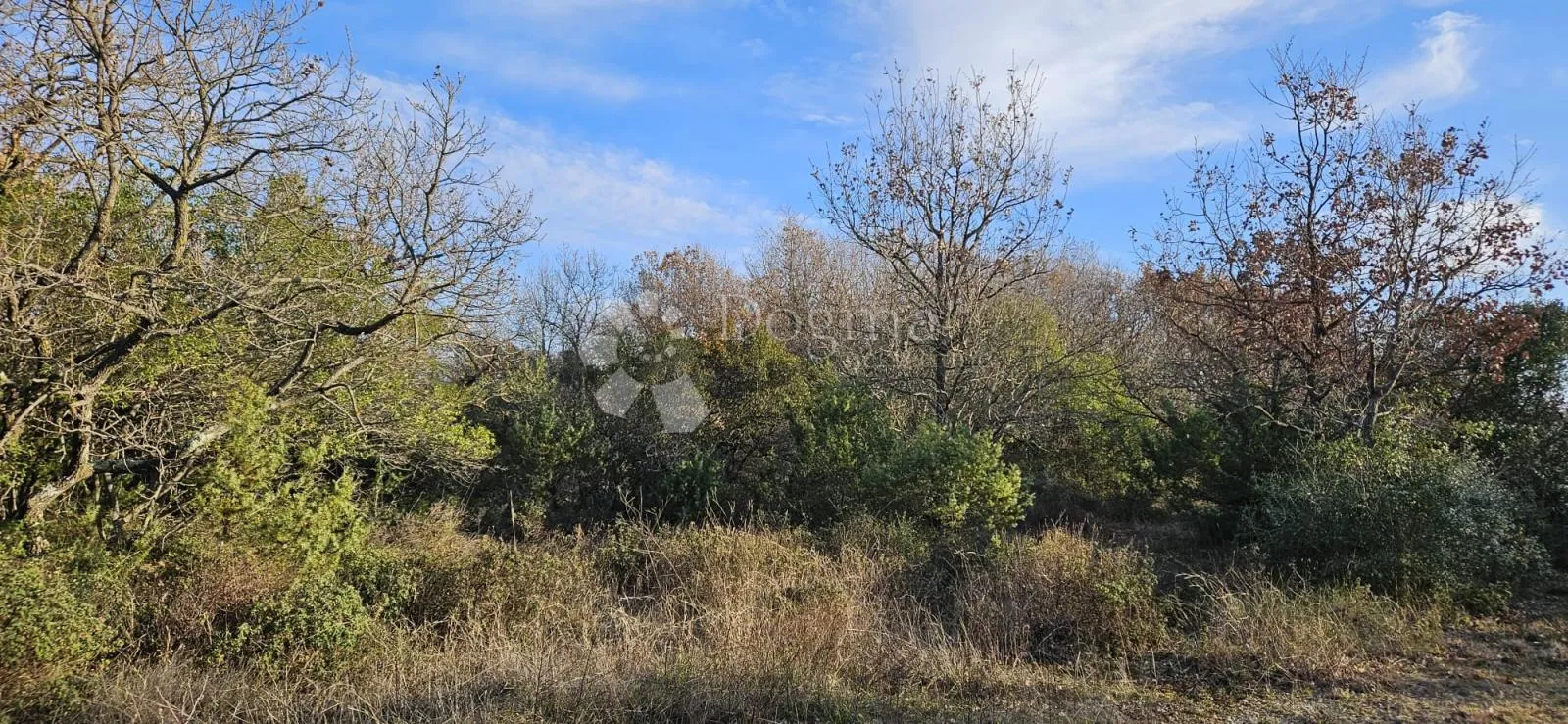 poljoprivredno zemljište na odličnoj lokaciji - 2805 m² - slika 1