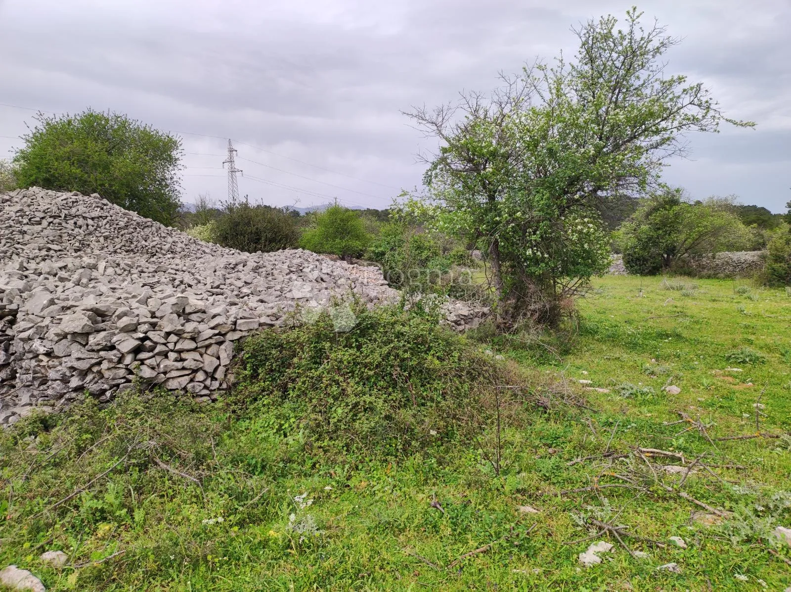brač, selca – poljoprivredno zemljište 11.274 m² - slika 7