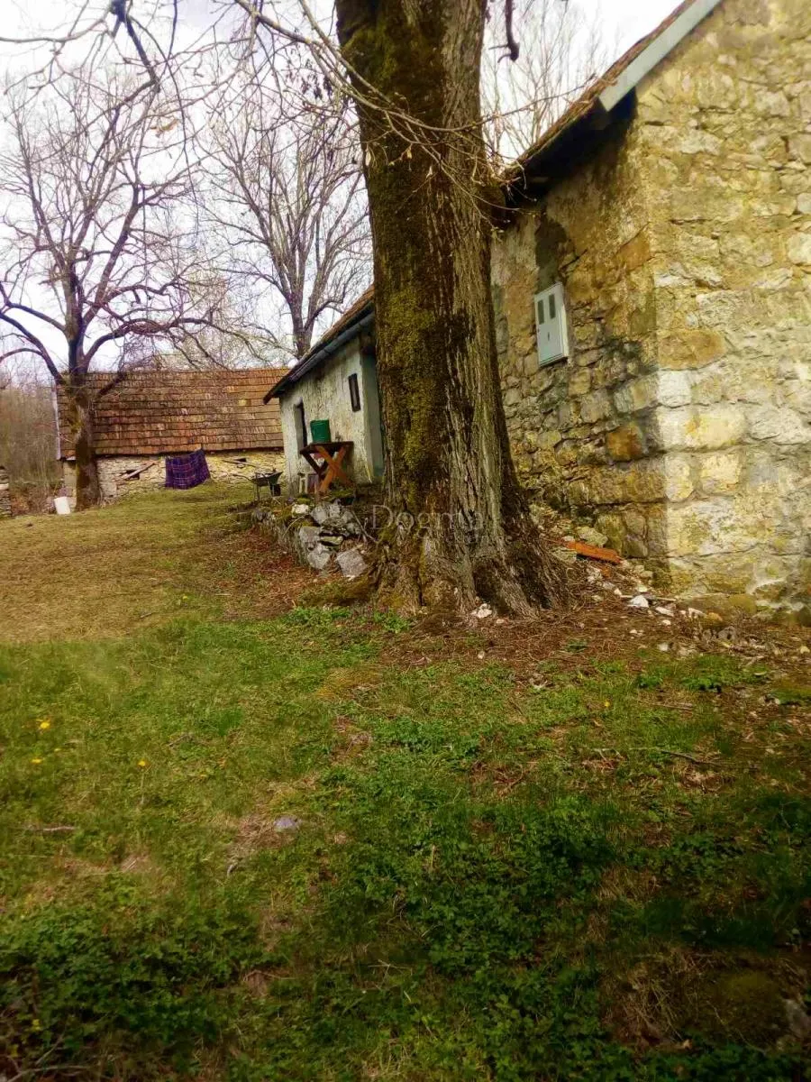 seoska kamena kuća sa 3 hektara zemlje - slika 3