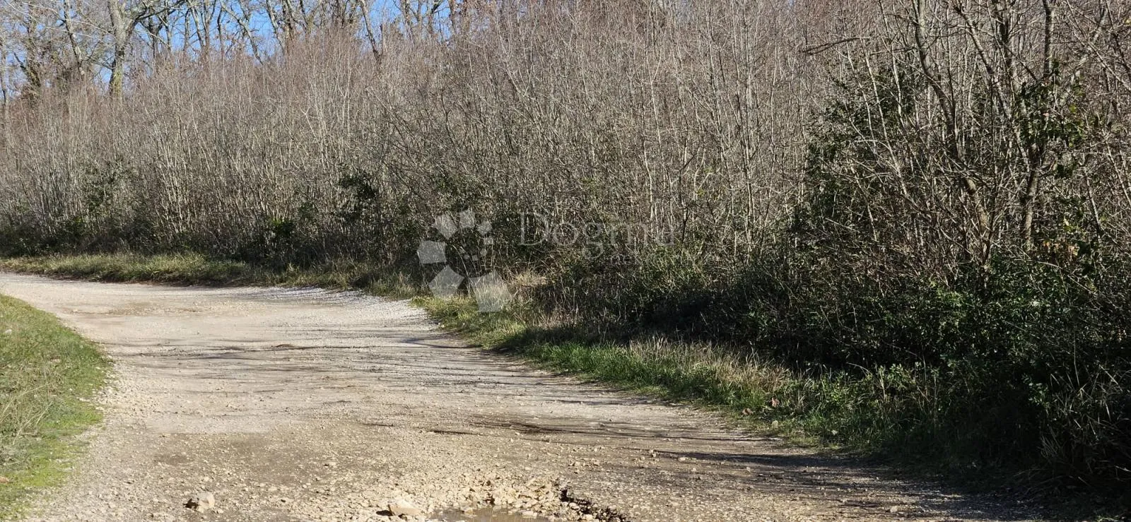 poljoprivredno zemljište 2 km od mora - slika 3