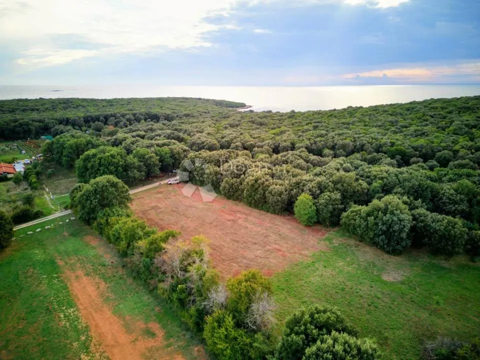 prostrana poljoprivredna parcela - 300 m od mora - slika 3