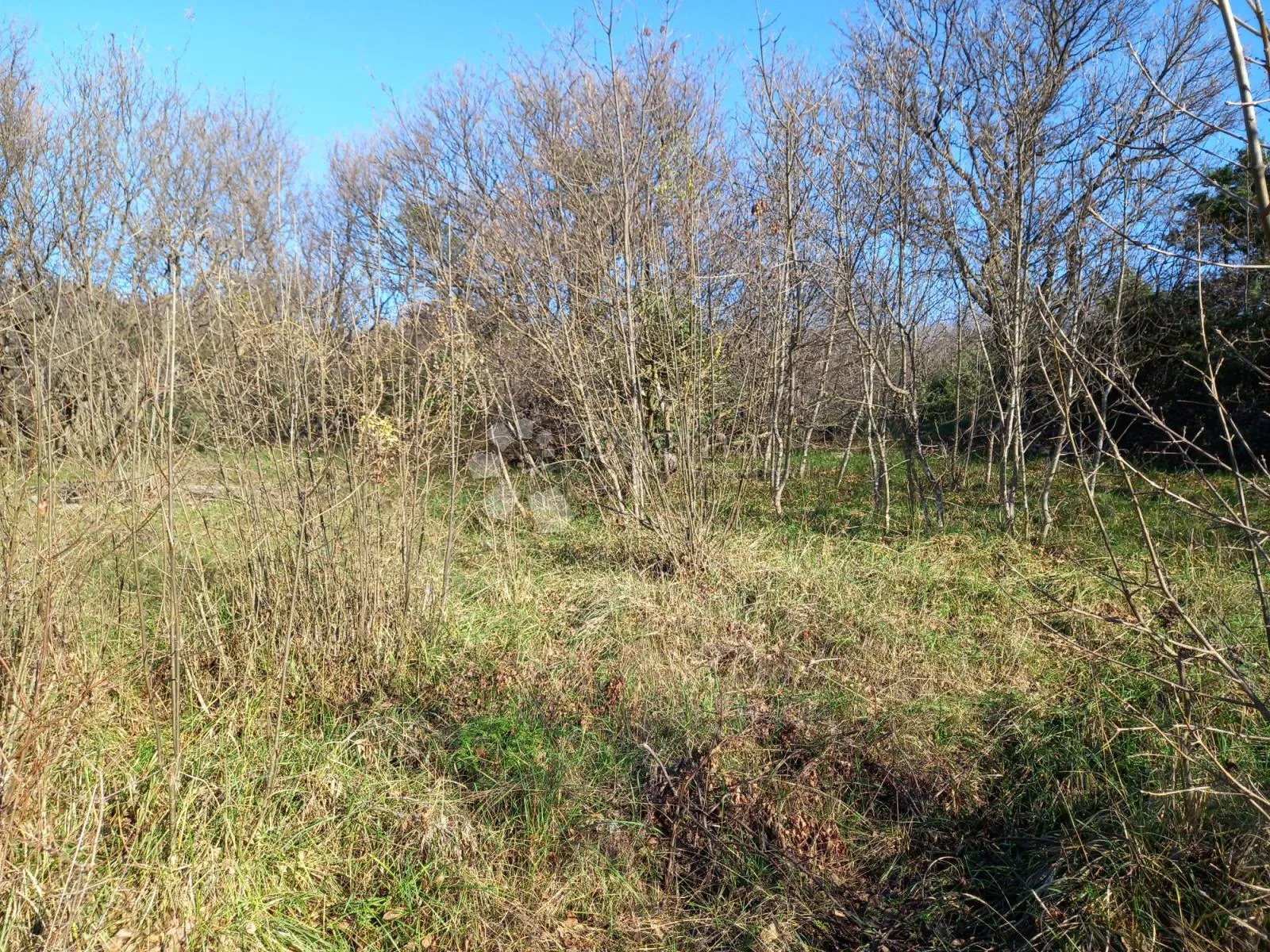 kostrena, teren s pogledom na more - slika 1