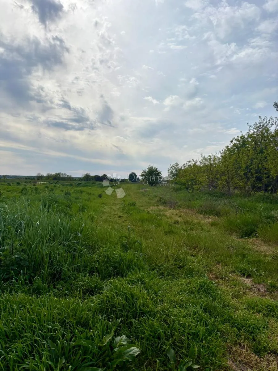 Zemljište 1469 m² idealno za gradnju ili investiciju - Darda