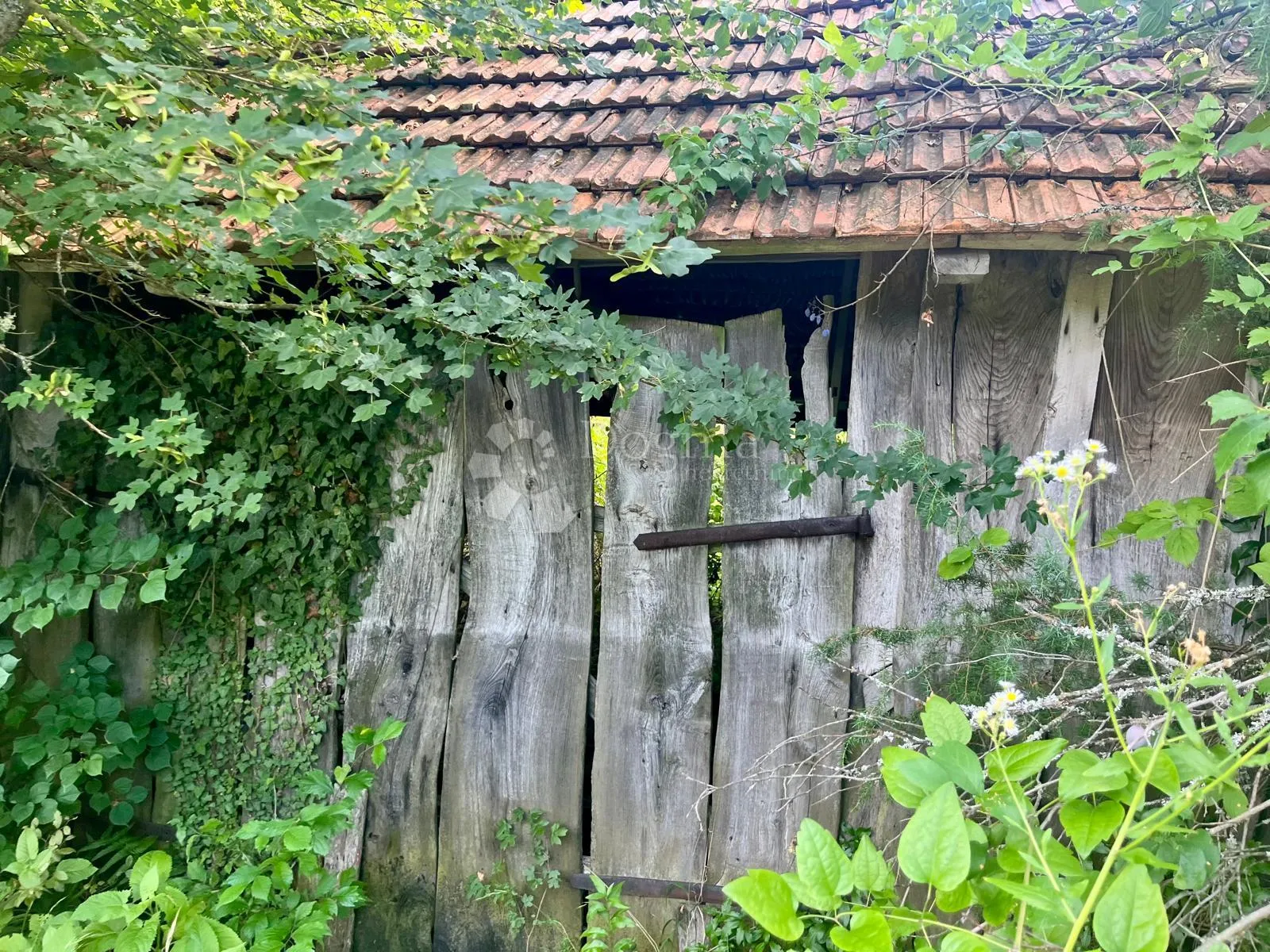 zemljište s vizijom – 20 ha netaknute prirode 10 minuta od plitvičkih jezera - slika 8
