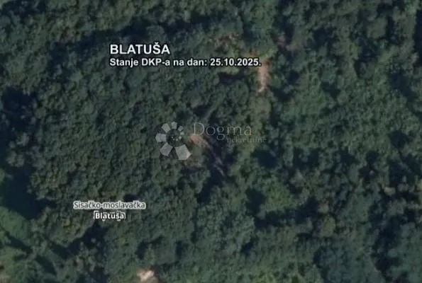 hektar šume u ekoselu- uz put - slika 2