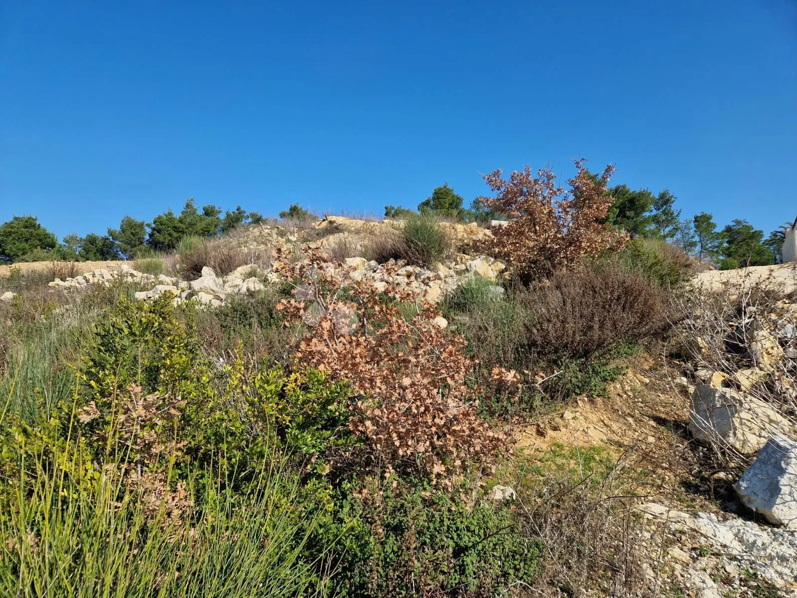 podvršje - ražanac - građevinsko zemljište 500 m2 - slika 19
