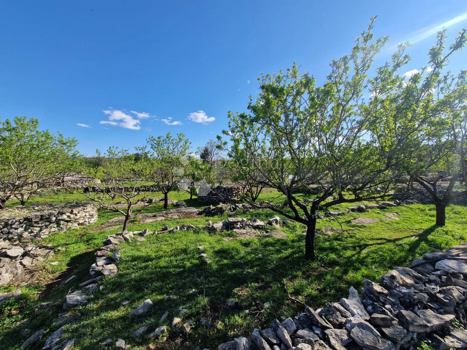 donji humac, zemljište za izgradnju opg-a, 10 630 m2, pogled - slika 8