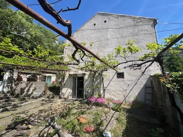 starina u centru bribira - slika 4