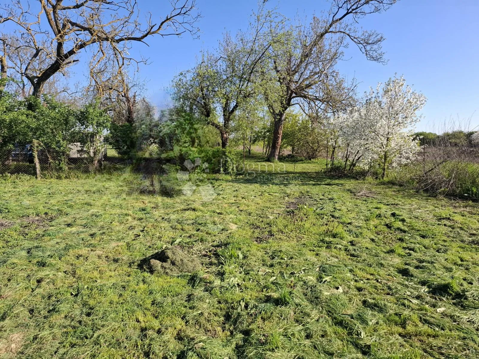 kuća za renovaciju + oranica 2215 m² - slika 2