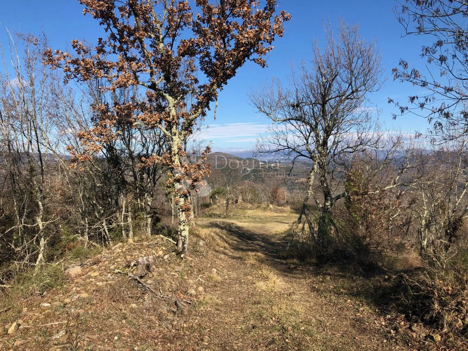motovun - prekrasno imanje s panoramskim pogledom - slika 4