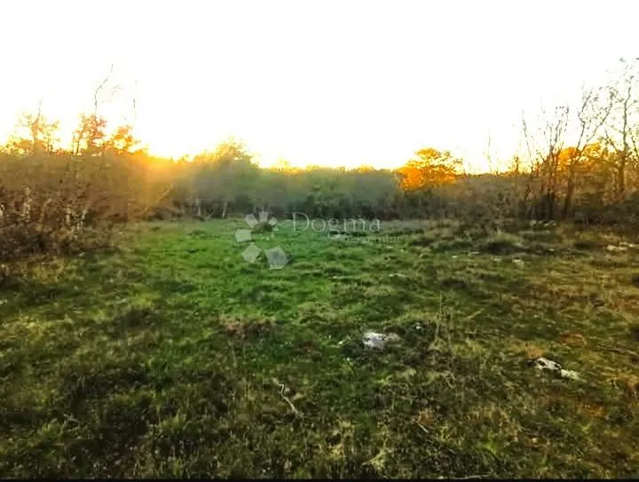 šuma i oranica bale - slika 2