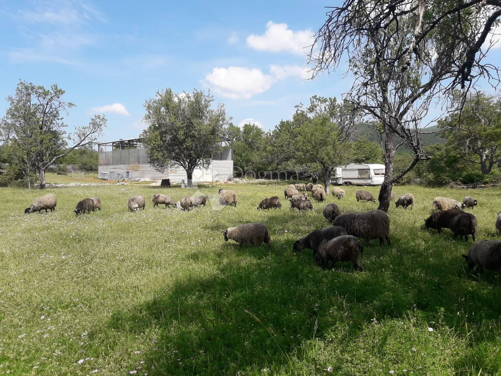 poljoprivredno zemljište s montažnim objektom 200m2! bristivica - slika 5