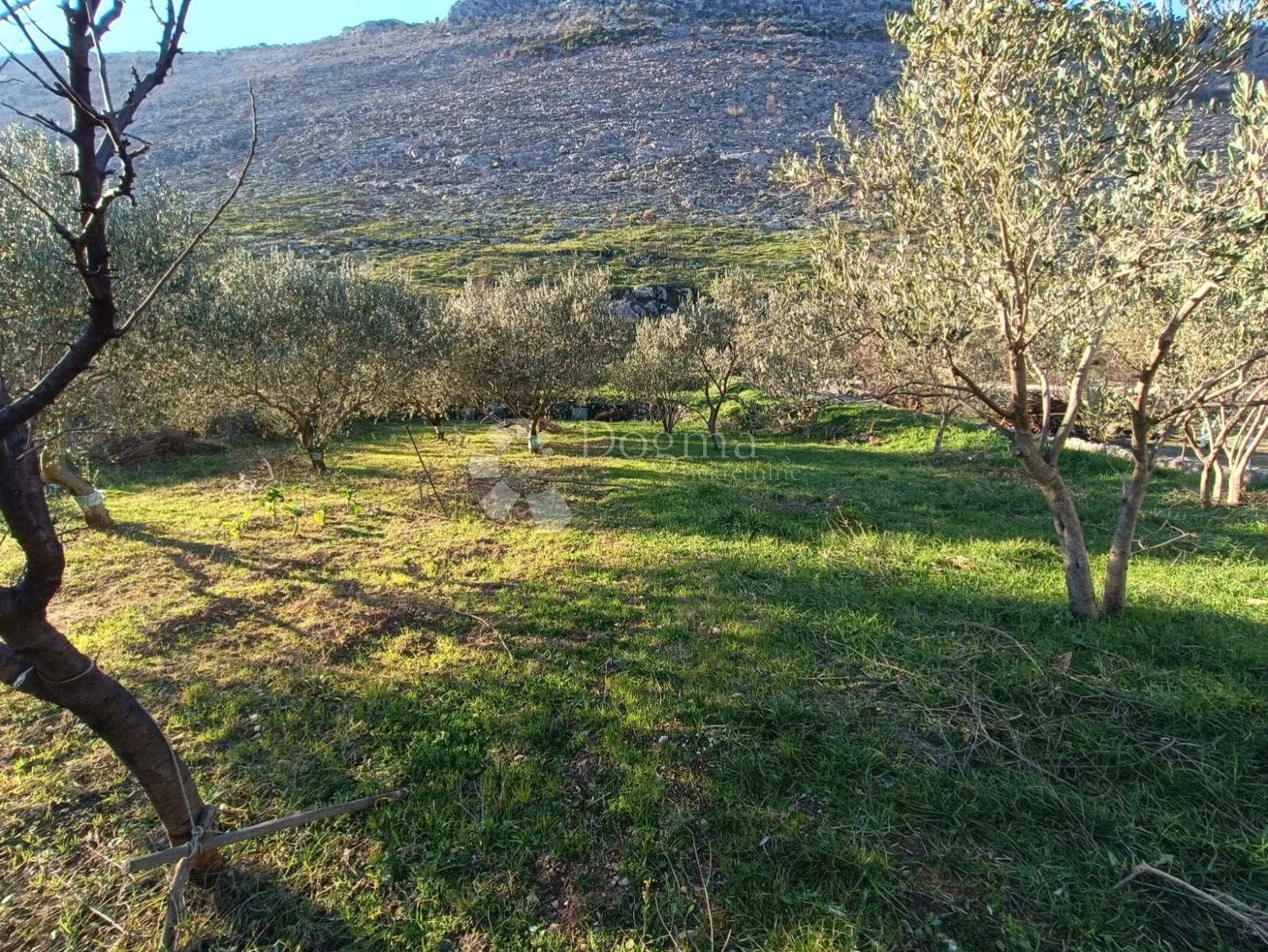 prilika! poljoprivredno zemljište srinjine, split - slika 6