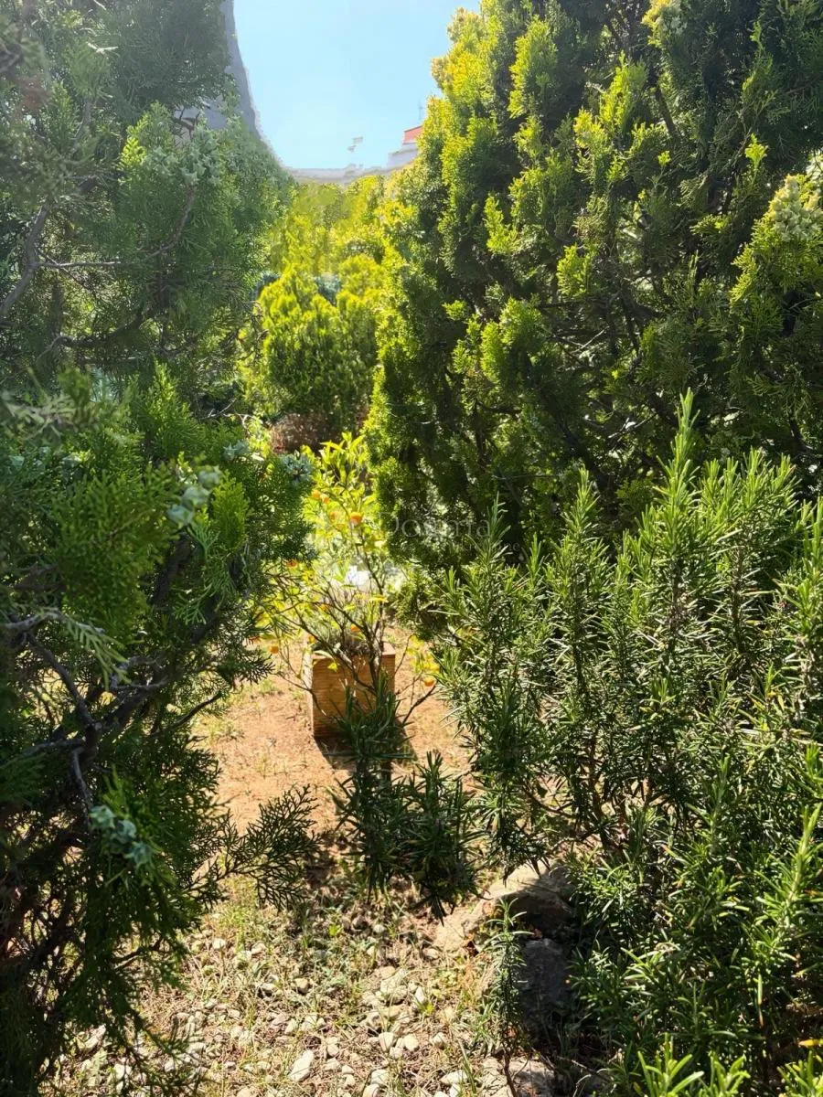 eskluzivan apartman, 70 m od mora sa panoramskim pogledom i vrtom - slika 15
