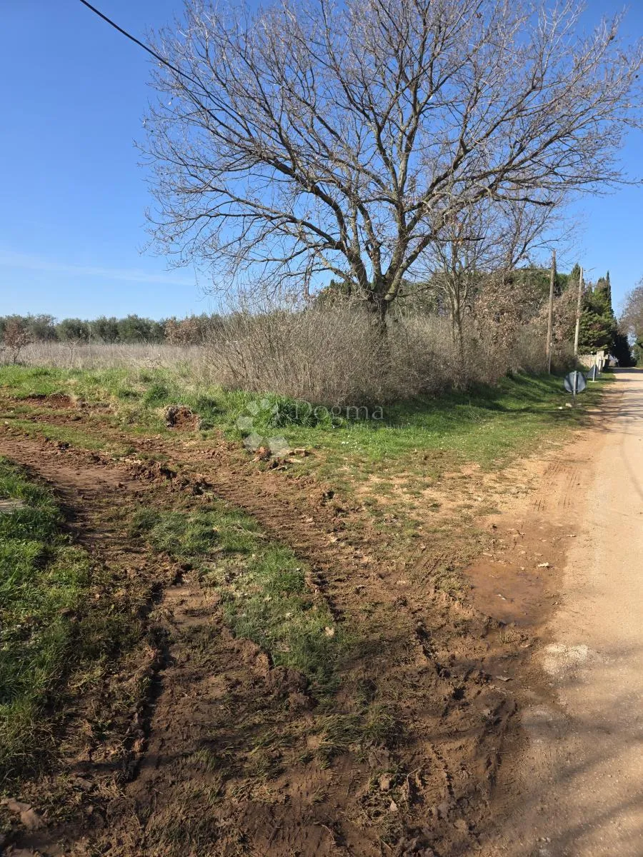 kaštelir - atraktivno građevinsko zemljište s pogledom na more - slika 3