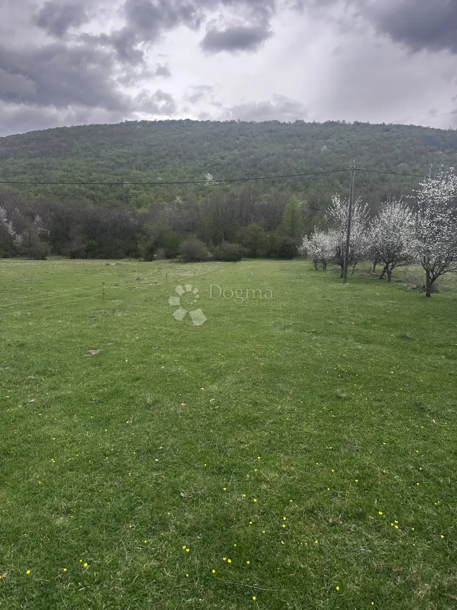 poljoprivredno zemljište 6300m2 cjelina - slika 2
