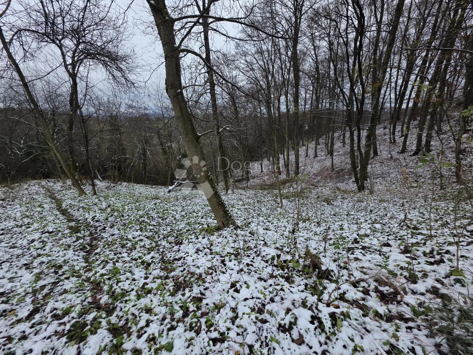 građevinsko zemljište s projektom u netaknutoj prirodi, blizu krapinskih toplica - slika 3
