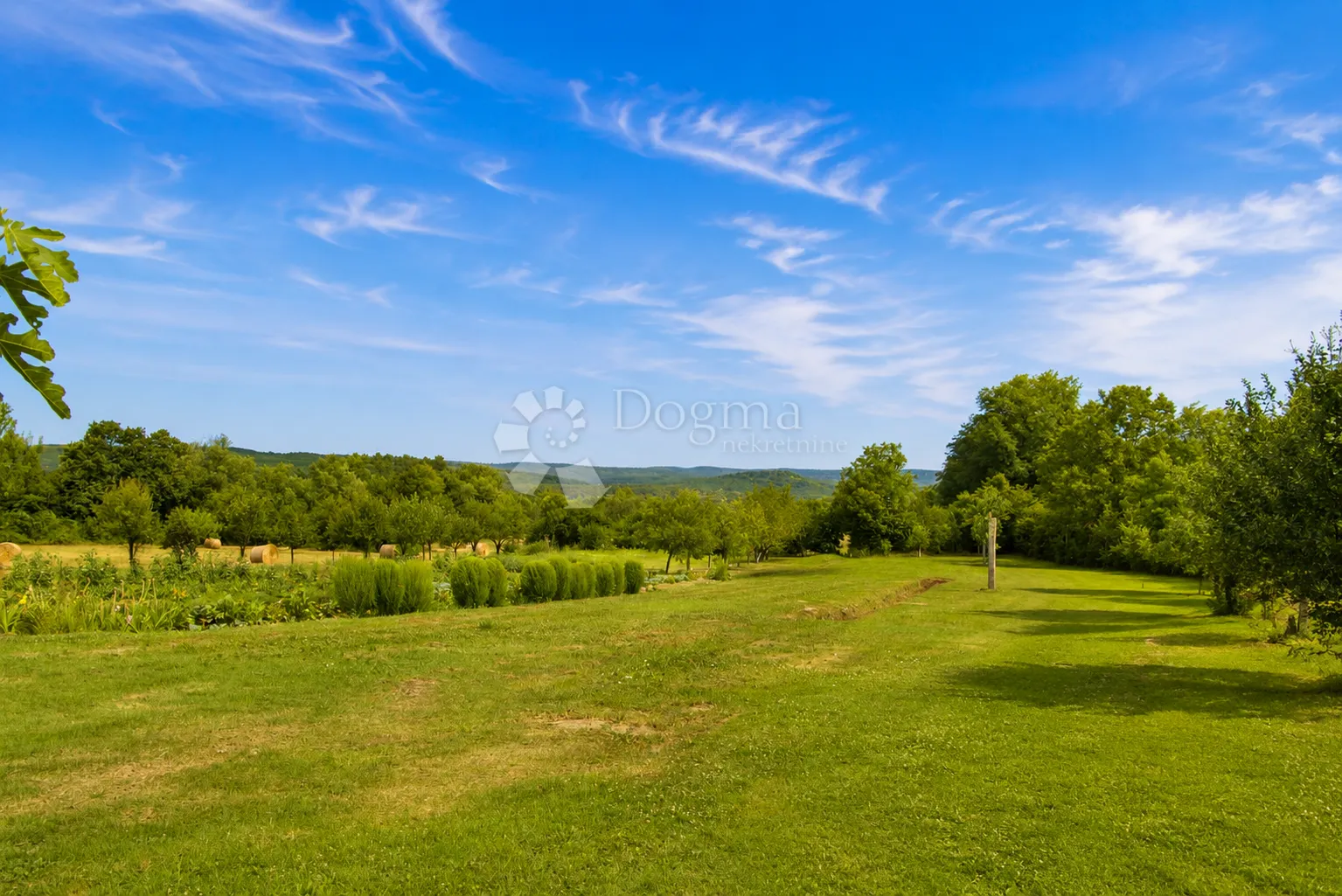 brodski drenovac – kuća 140 m², veliko zemljište - slika 10