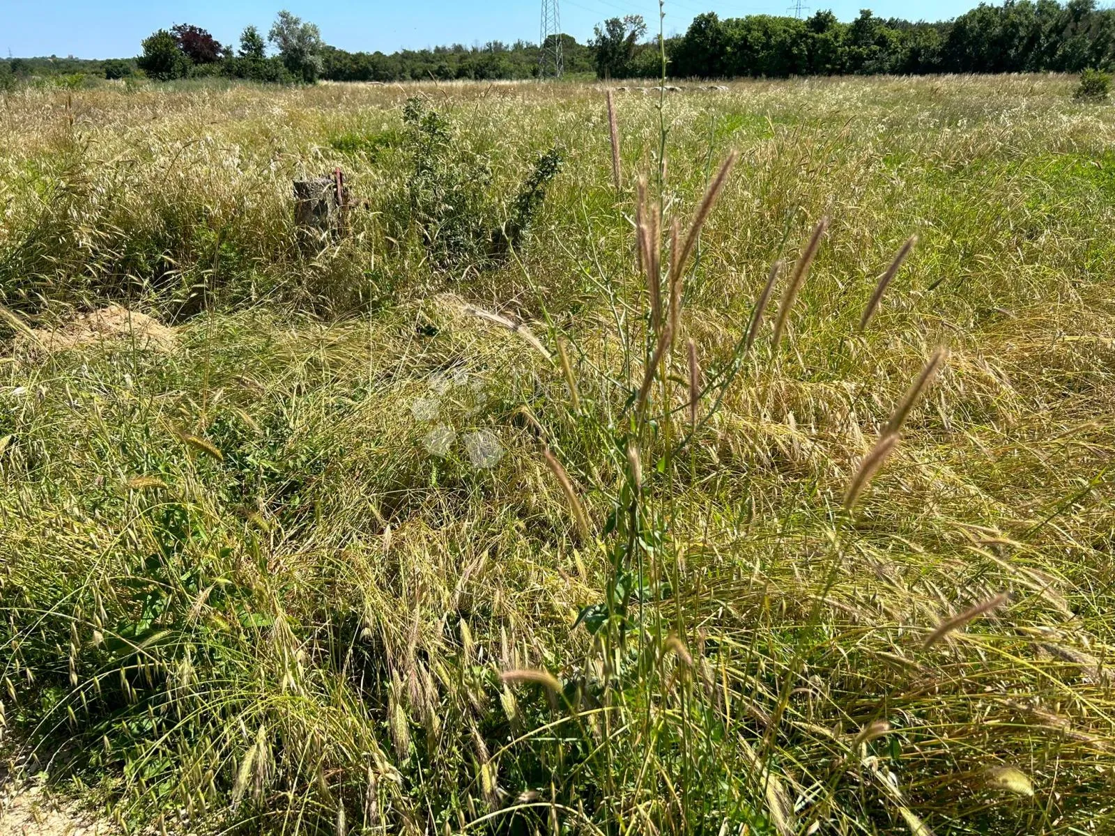 poljoprivredno zemljište u puli, busoler - 1290m2 - slika 5