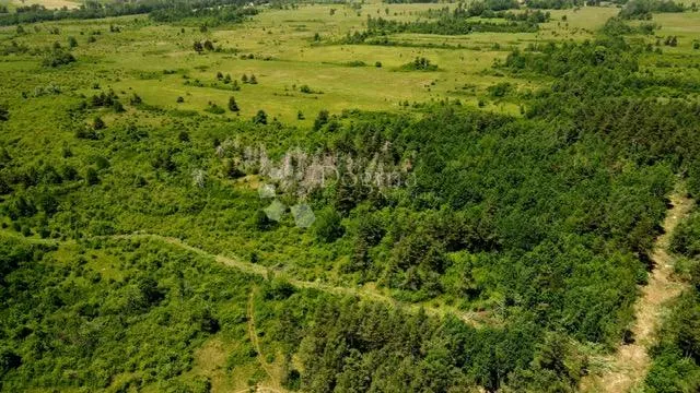 građevinsko zemljište divoselo 50093 m2 - slika 13
