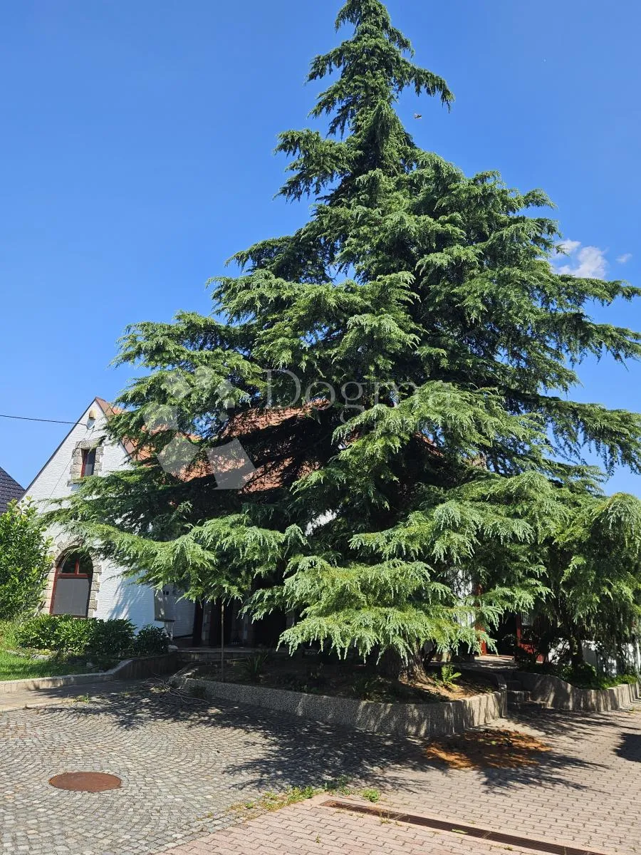 predivna vila u kuršancu - slika 125