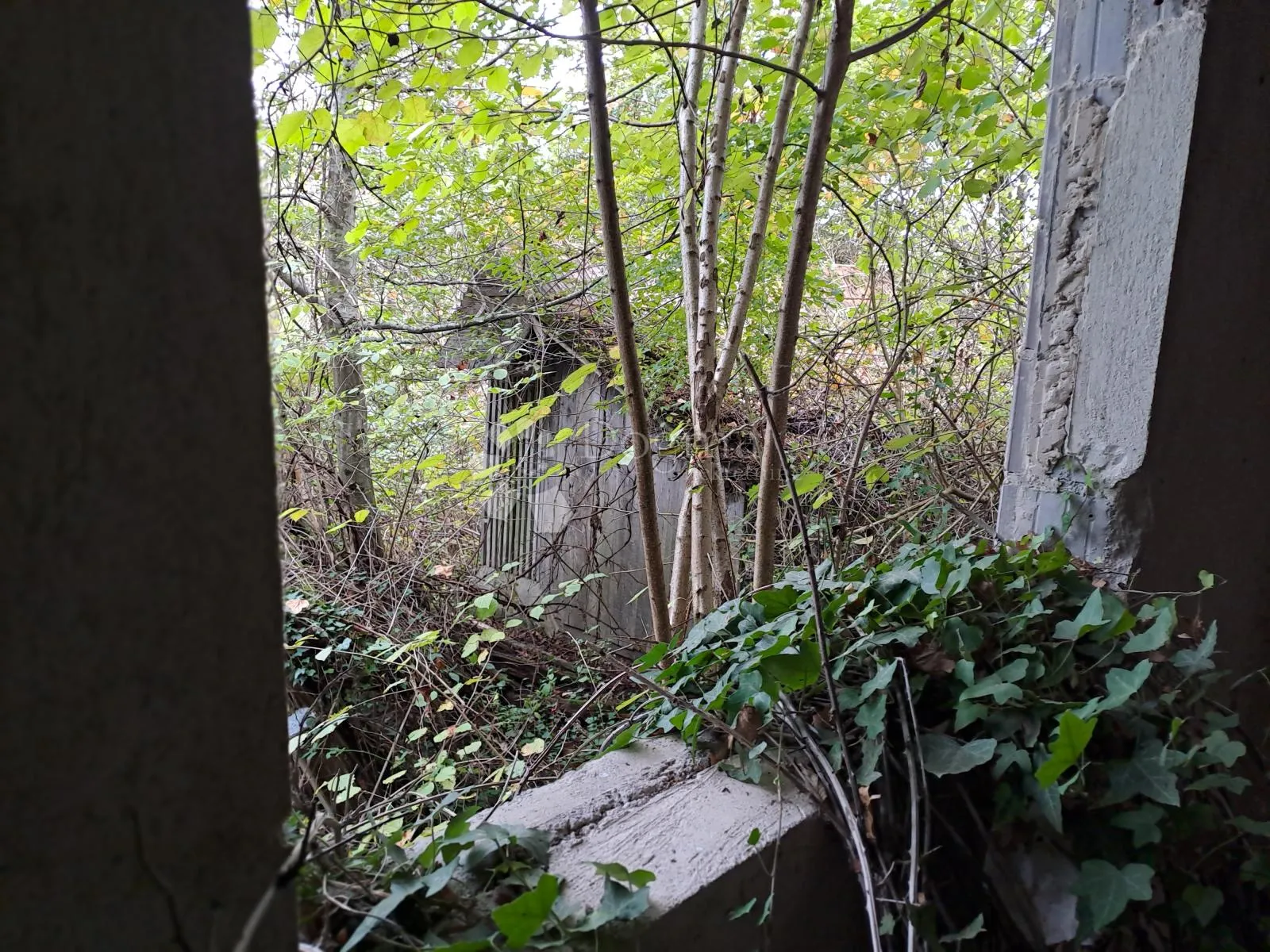 sniženo!!!velika kvadratura i 2kuće u napuštenom selu - slika 12