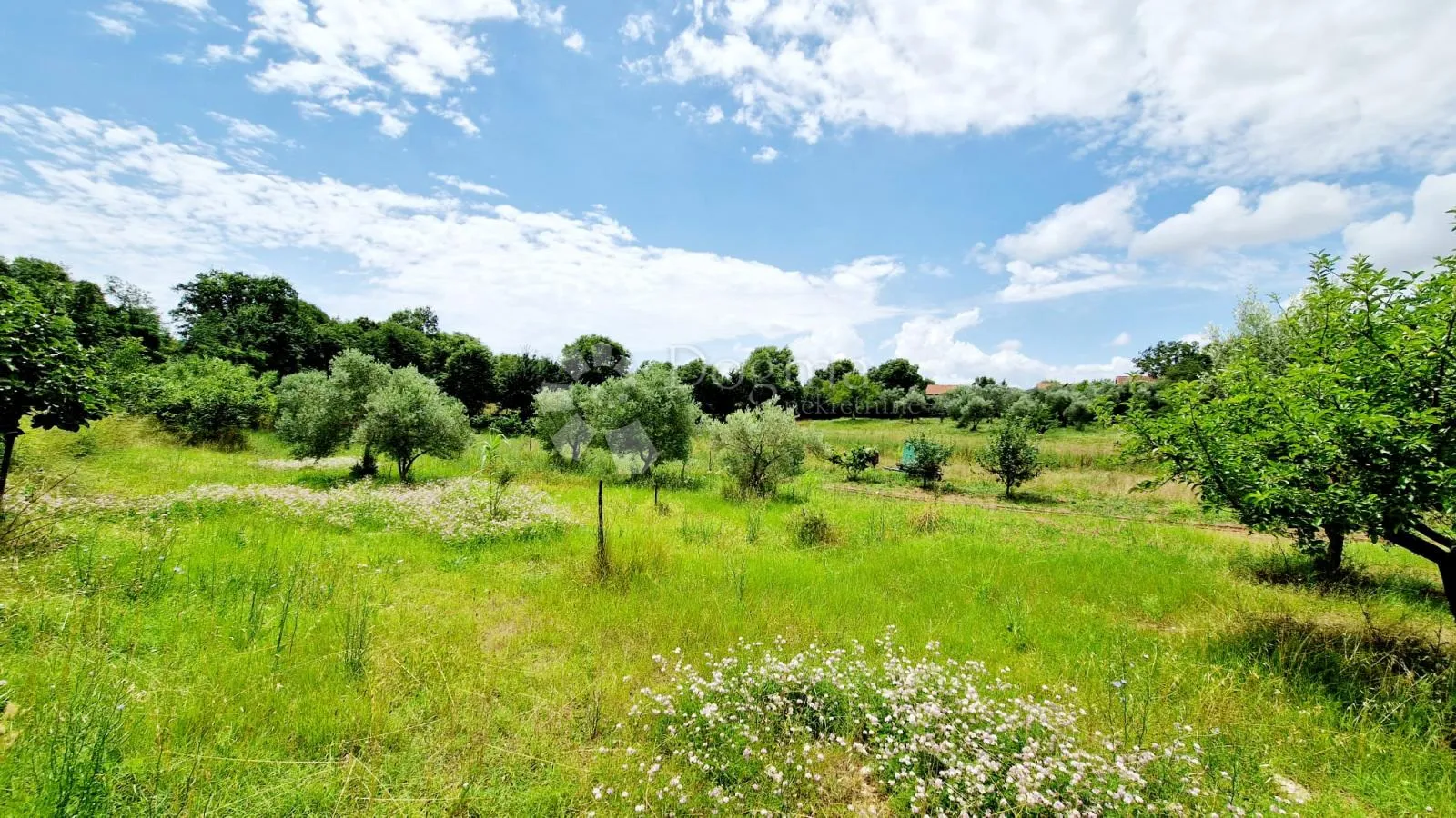 mala kućica u mirnom okruženju - slika 2