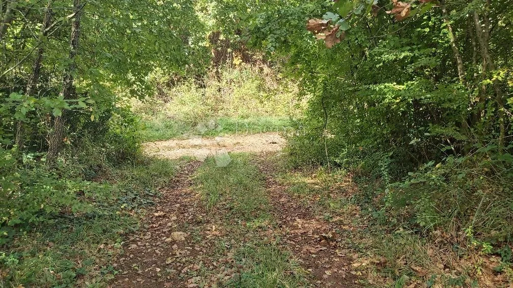 poljoprivredno zemljište u blizini sela - slika 7