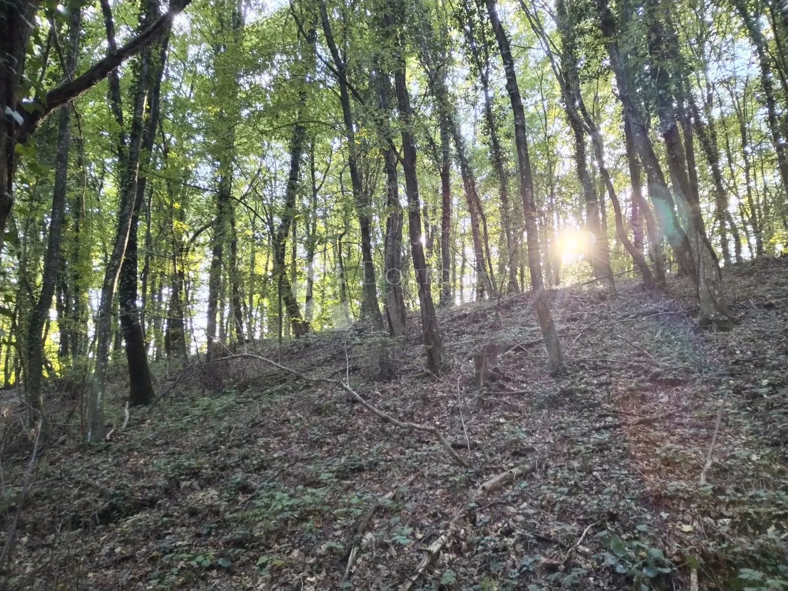 zemljište s ogromnim potencijalom - slika 12