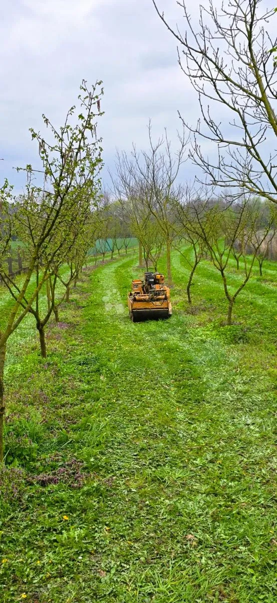 poljoprivredno zemljište s nasadom lješnjaka i oraha - 1514 m² - slika 6