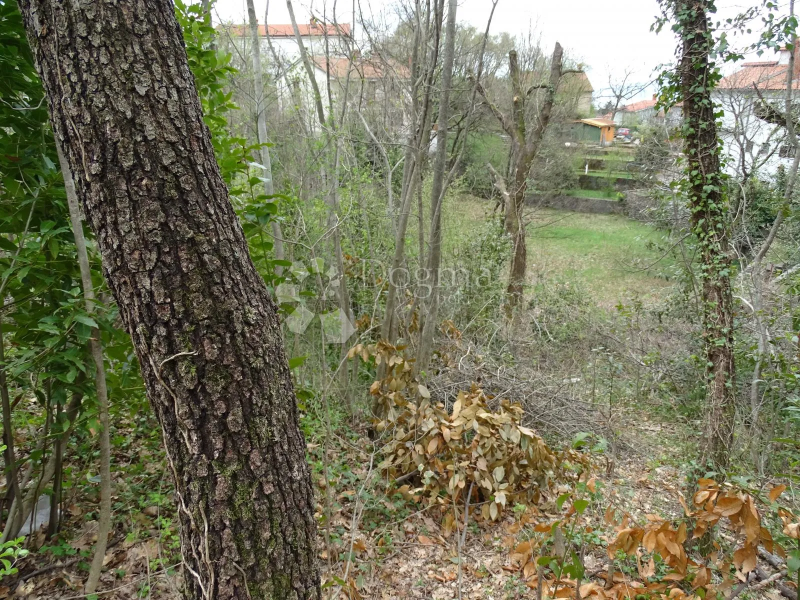 drenova - građevinski teren - slika 5