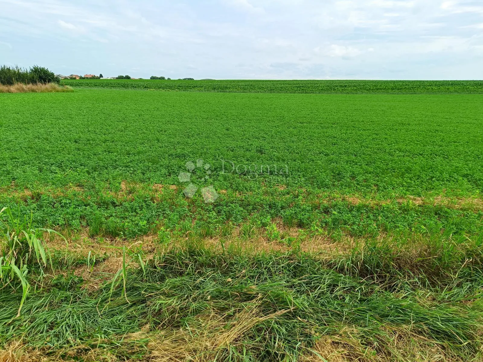 INVESTICIJSKA PRILIKA! Građevinsko zemljište 8.505 m² u Borovu – idealno za solarne panele! - Borovo