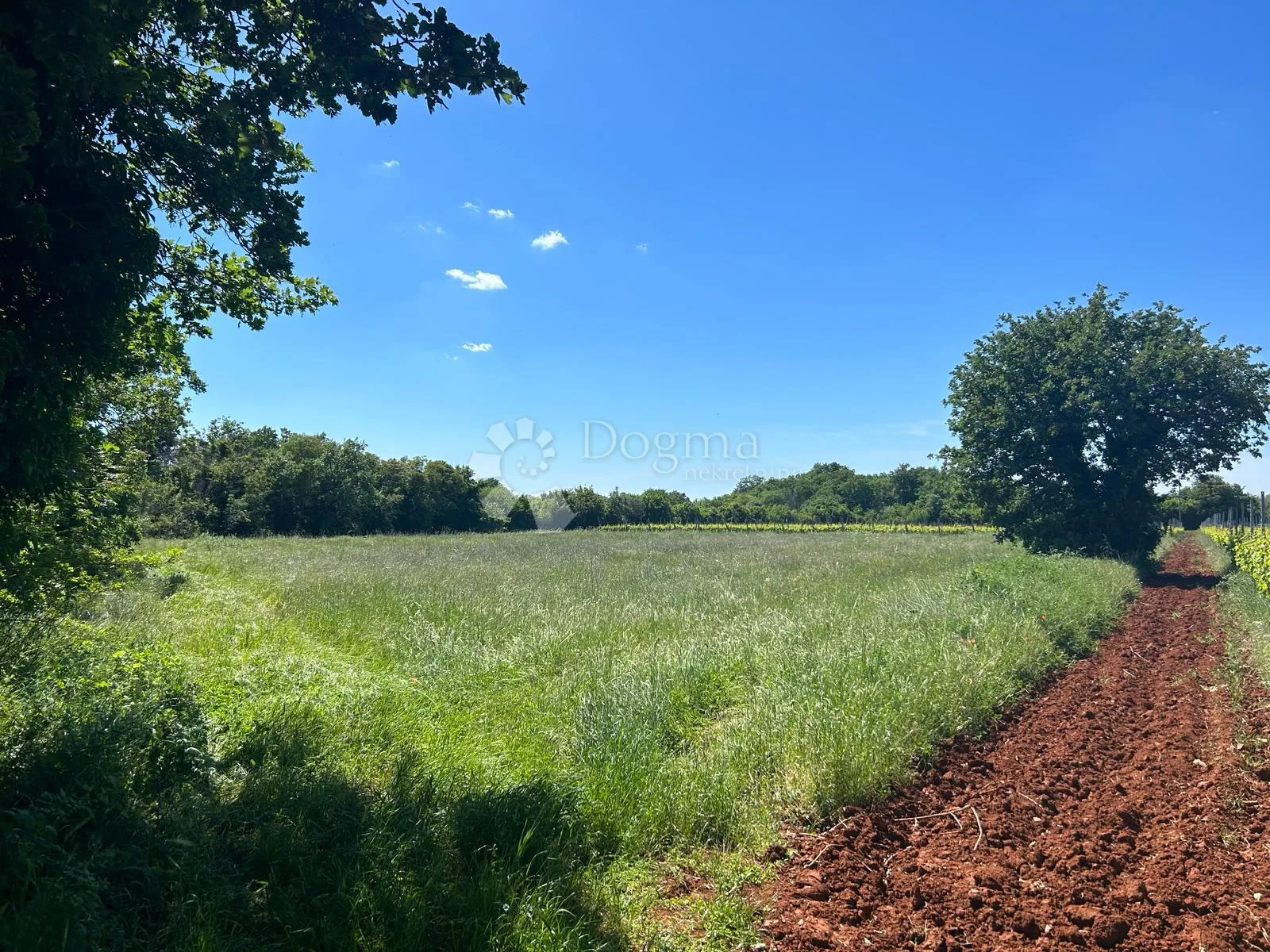 poljoprivredno zemljište u muntiću: 3352 m² - slika 2