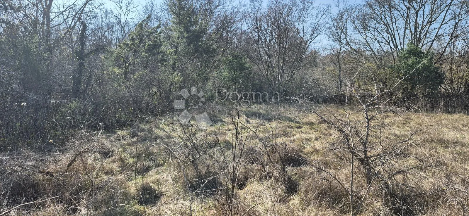 poljoprivredno zemljište površine 7962 m2 - slika 3
