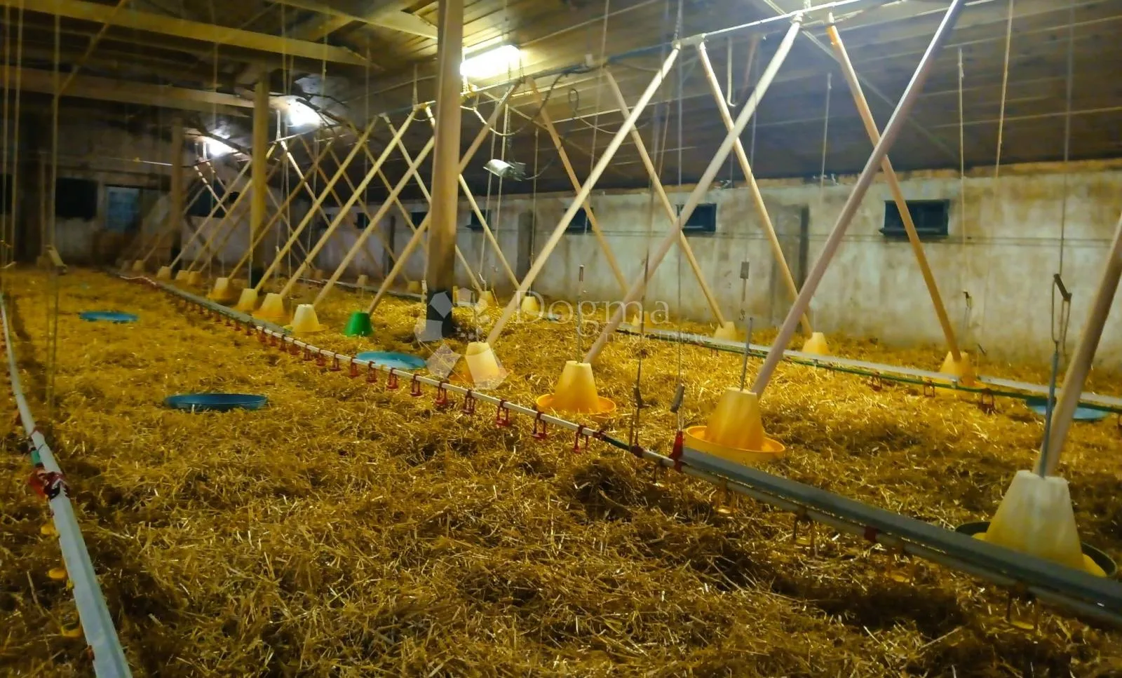 investicijska prilika! dvije kuće i potpuno opremljena farma pilića! - slika 14
