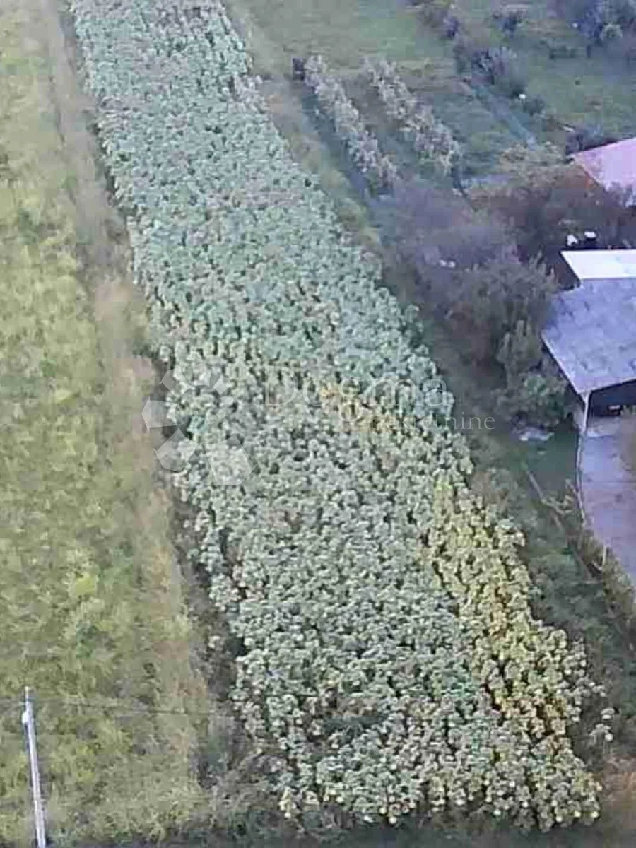 građevinsko zemljište 3.251m² u jakovlju - slika 4