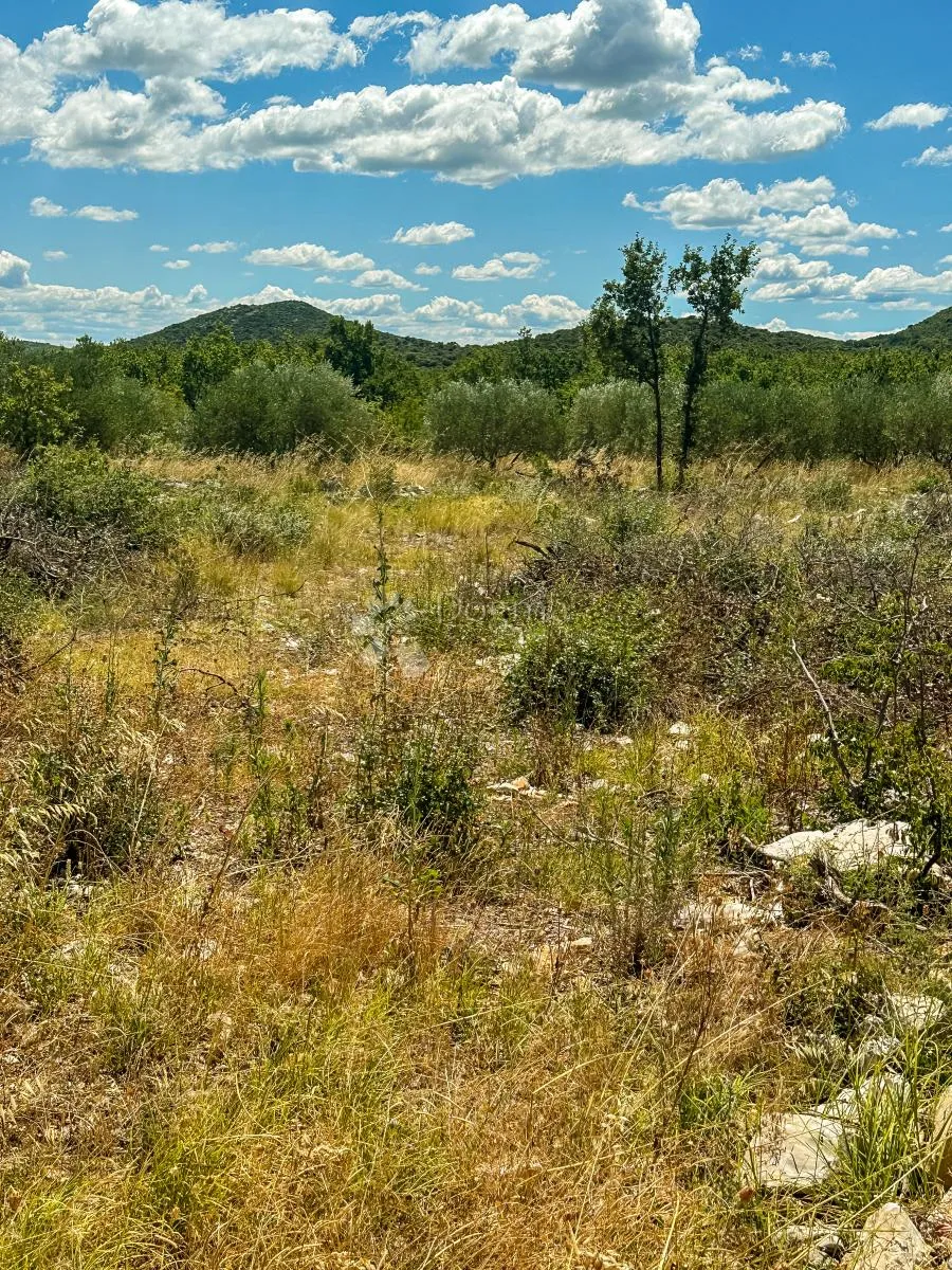 polača, biograd n/m, atraktivno građevinsko zemljište 906 m2 - slika 3