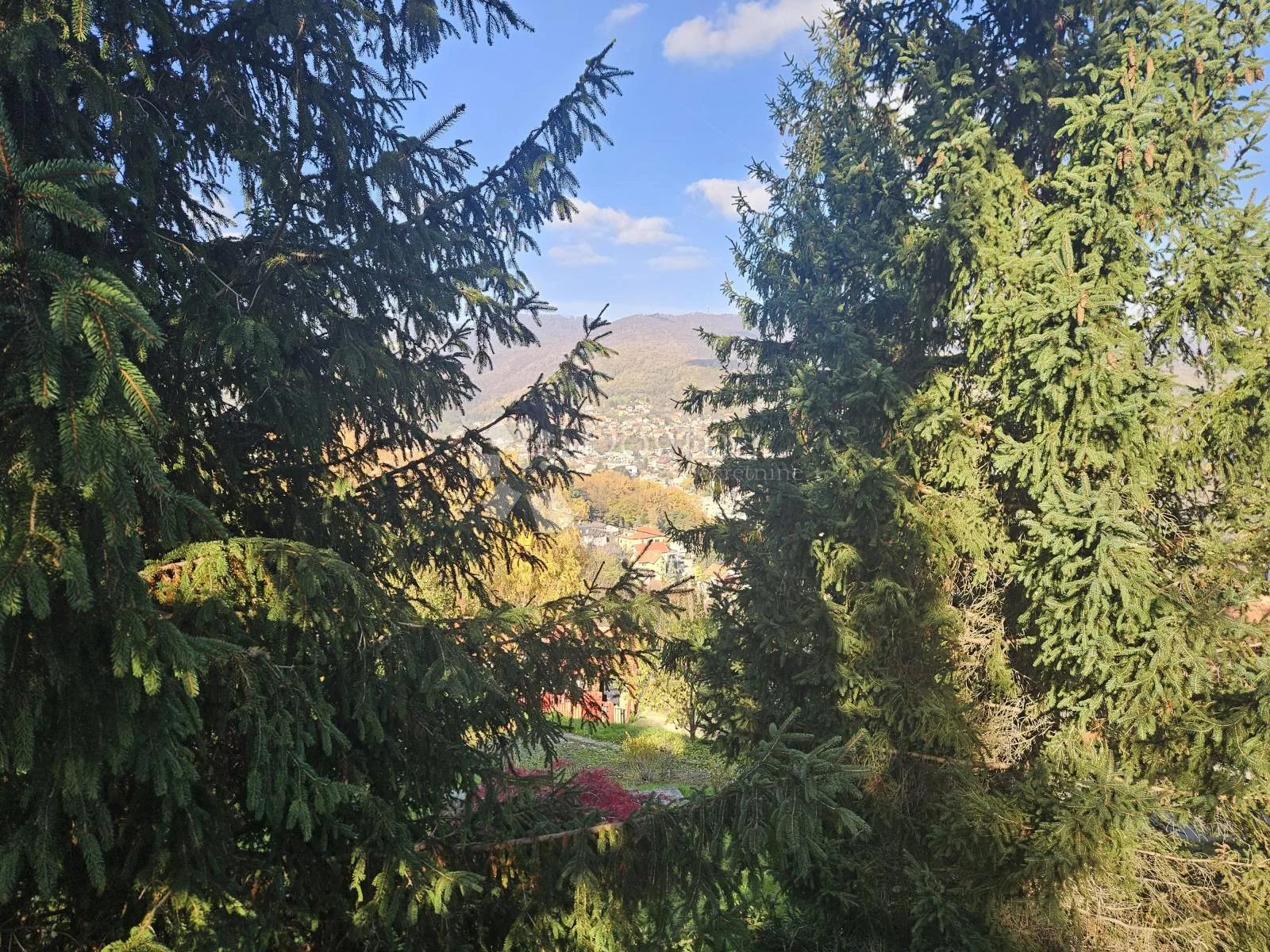 pogled govori više od riječi - slika 29