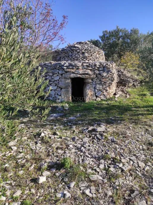 poljoprivredno zemljište sutivan - slika 2