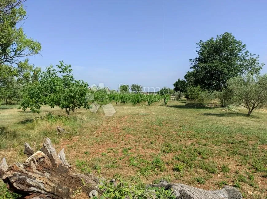 prekrasna stancija u okolici pule, s 10000 m² urbaniziranog zemljišta - slika 46