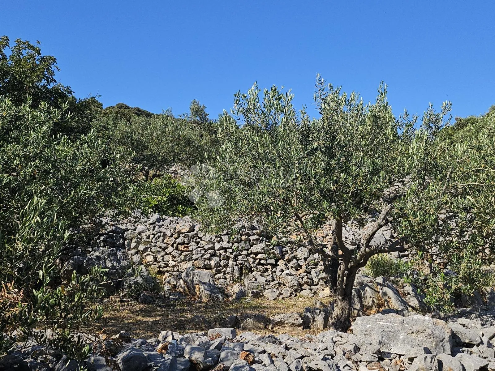 građevinsko zemljište s pogledom na more - slika 5