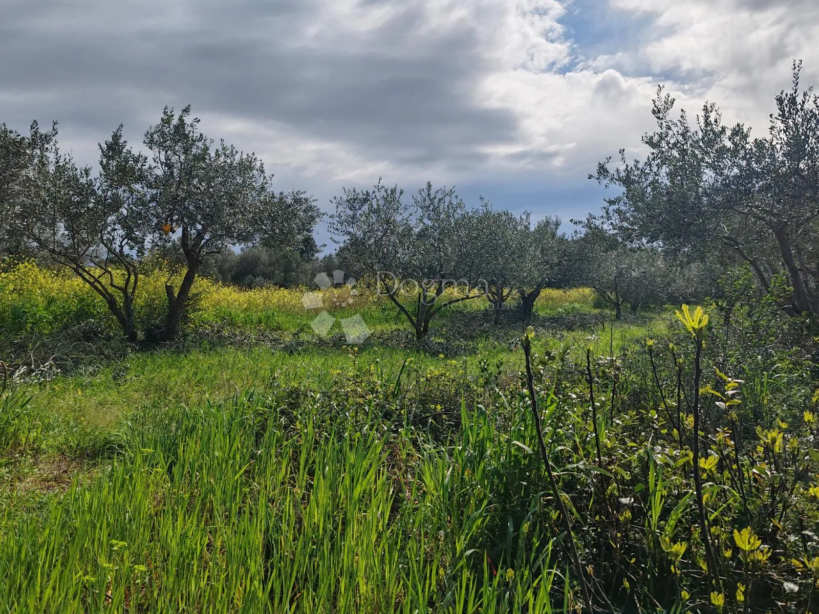 građevinsko zemljište sukošan 1062 m2 - slika 5