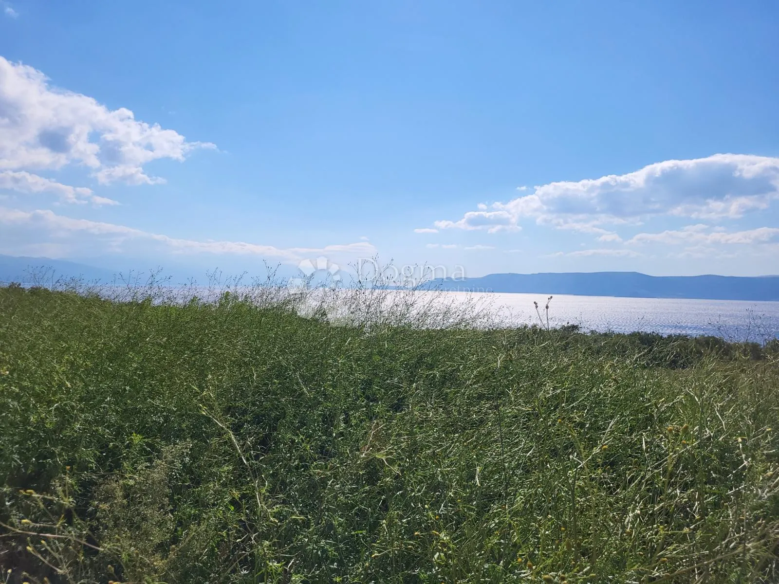 prvi red do mora - slika 8