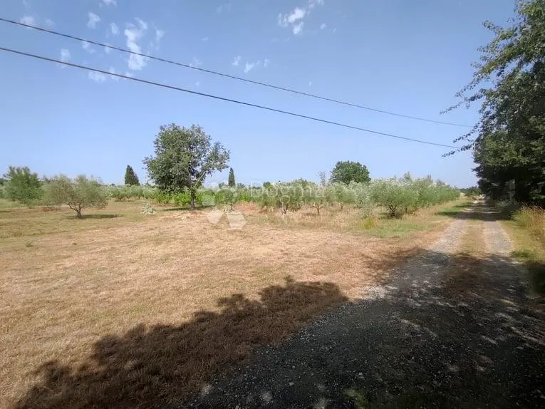 prekrasna stancija u okolici pule, s 10000 m² urbaniziranog zemljišta - slika 44