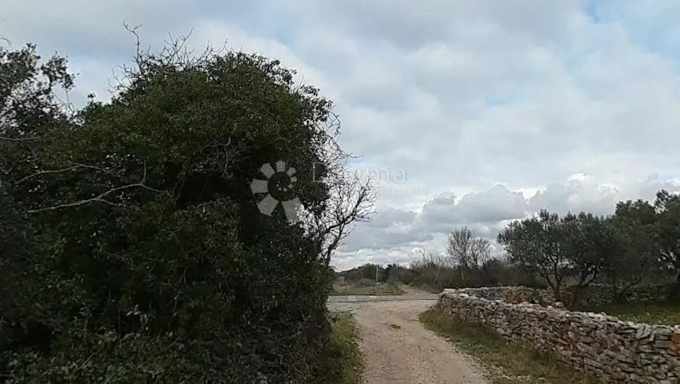 izvrsno poljoprivredno zemljište s pristupnim putem i vodom u fažani - slika 1