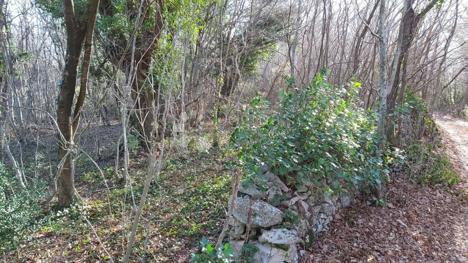 zemljište u okolici labina - slika 7