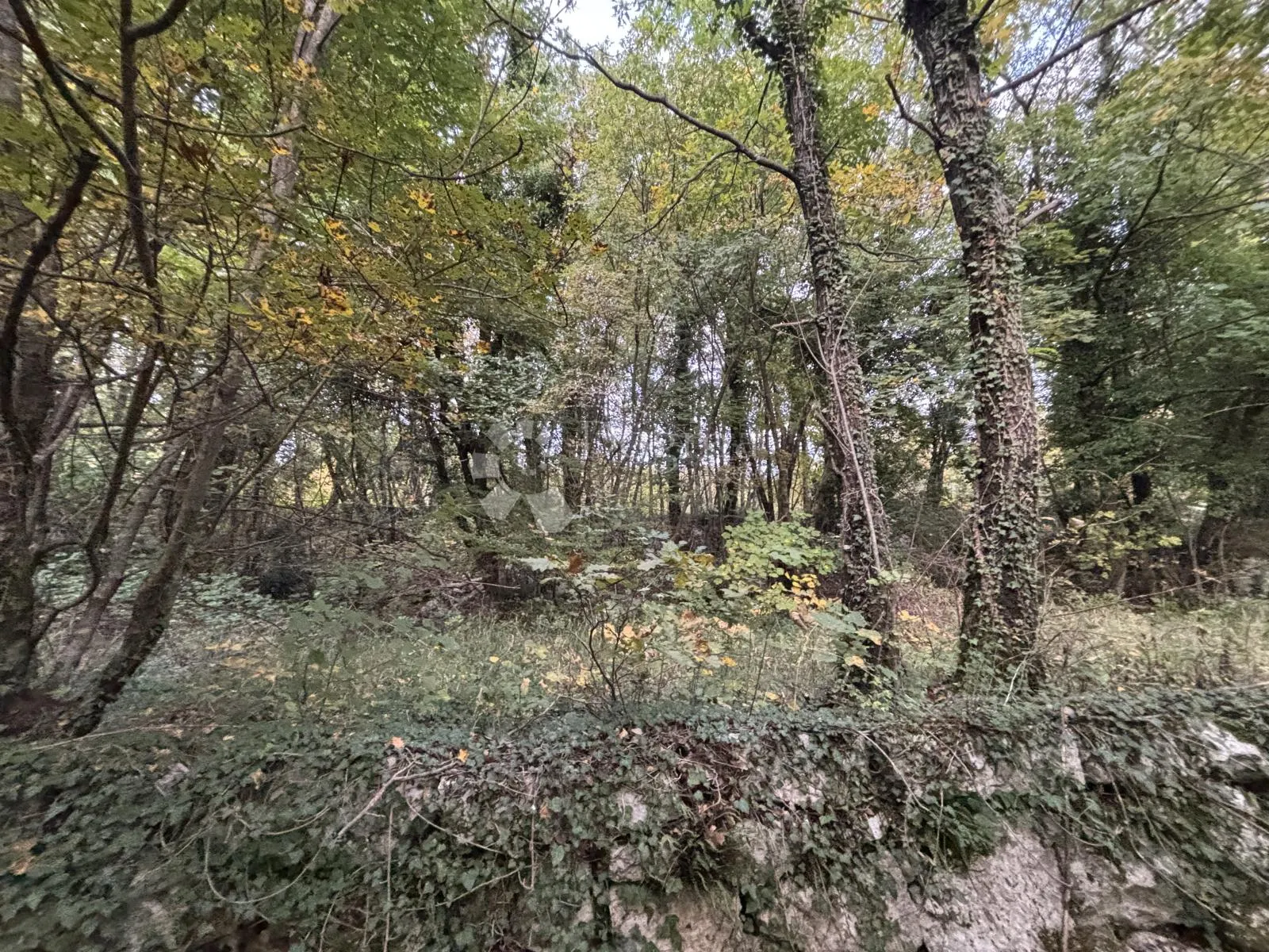 zemljište za obiteljsku kuću, veprinac, 1200 m² s pogledom - slika 2