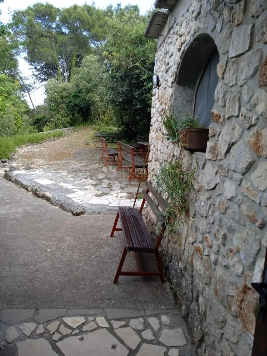 veli iž - investicijska prilika! prostrana kuća idealna za turizam 16 soba (39 ležaja) . - slika 6