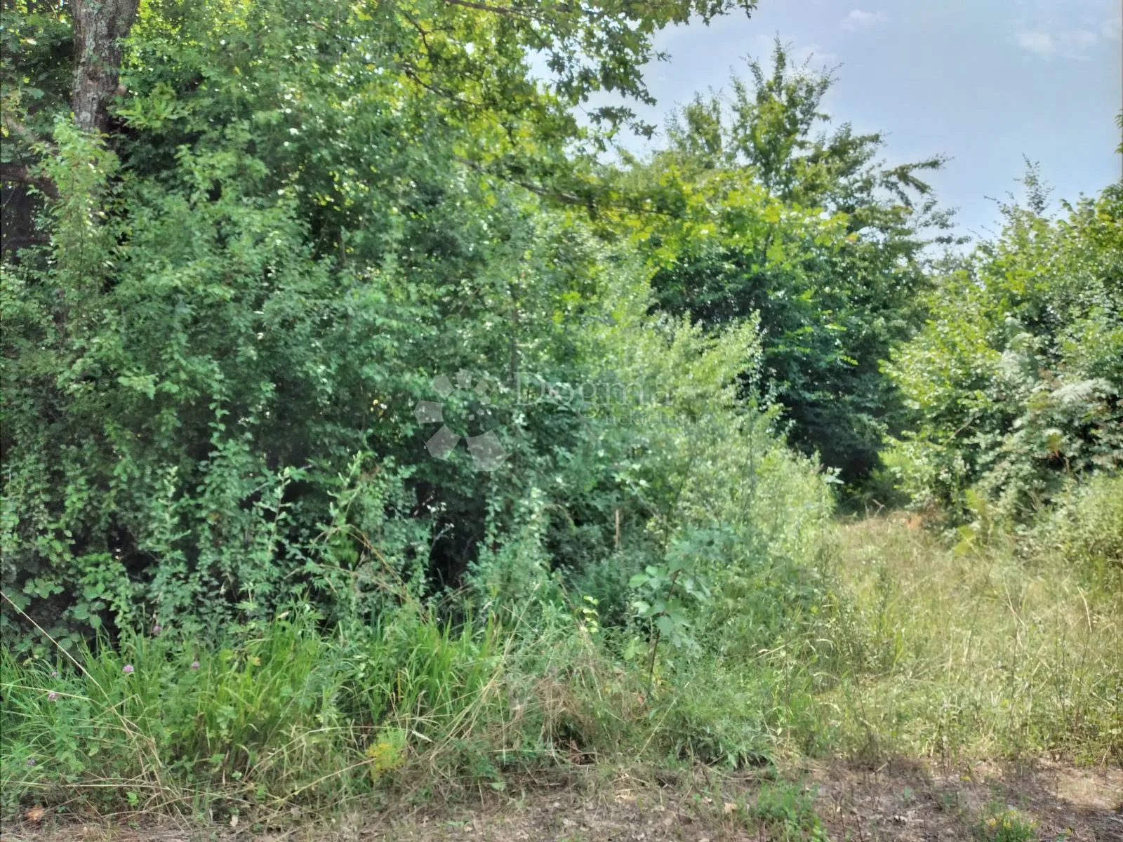 velika kvadratura, mala cijena - slika 3